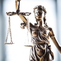 Справа Бердічевської Наталії Справа Бердічевської Наталії